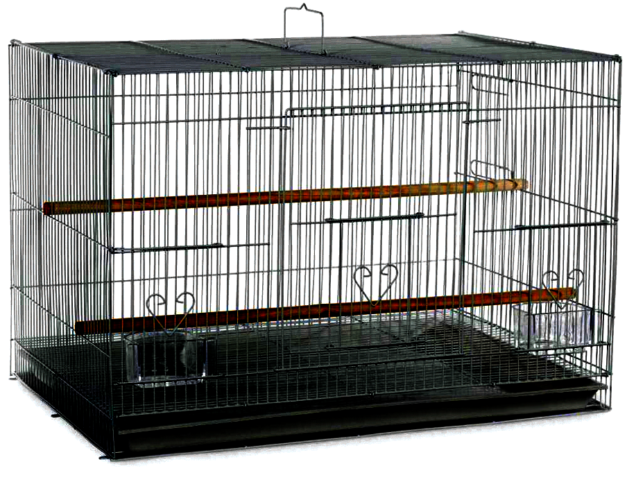 30"x18" Flight Cage in Color Retail Box (single pack)