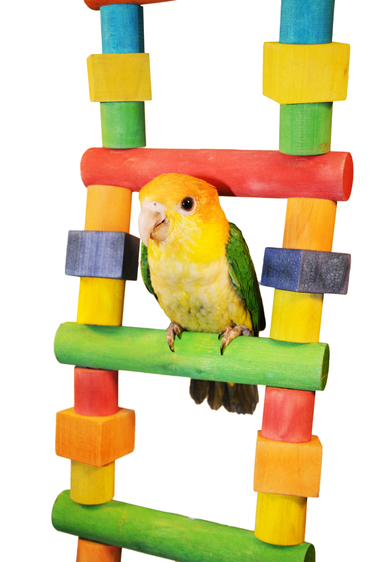 Medium Wood Ladder