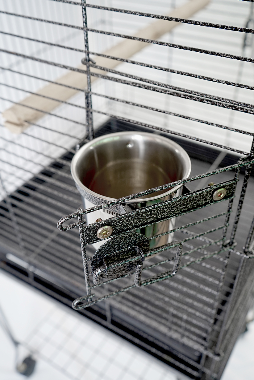 Economy Play Top Cage