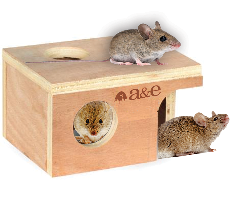 Small Mouse Hut