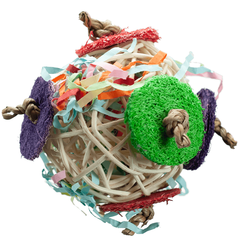 Circle Chaser Toy