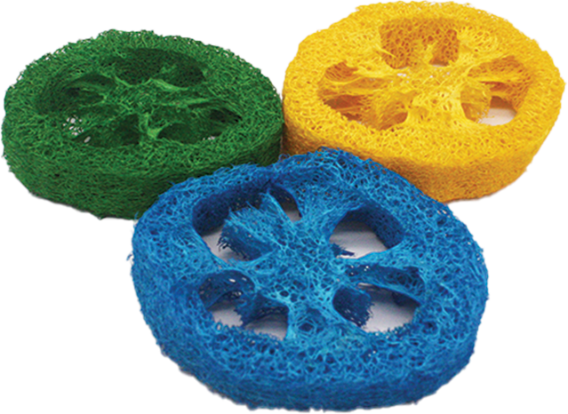 Loofah Slices