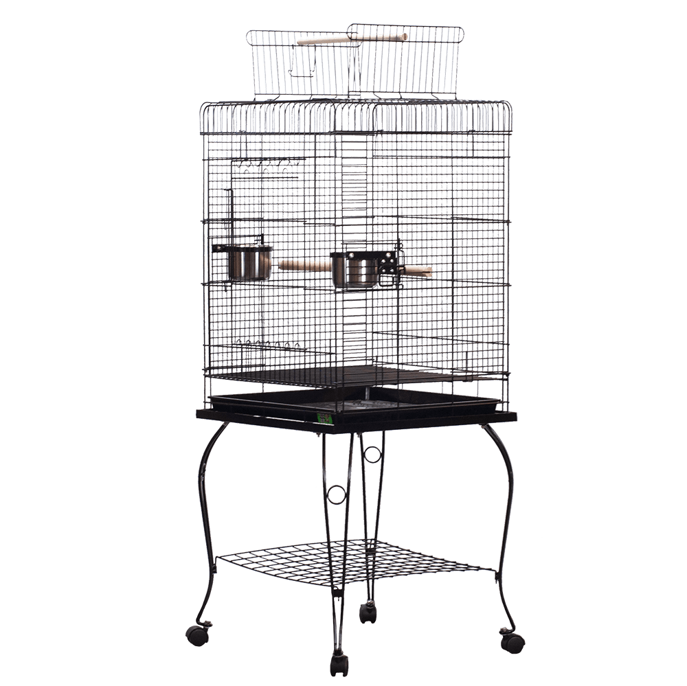 Economy Play Top Cage