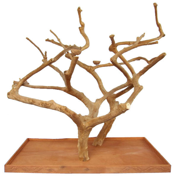 Large Double Java Tree 73” x 36” x 66”