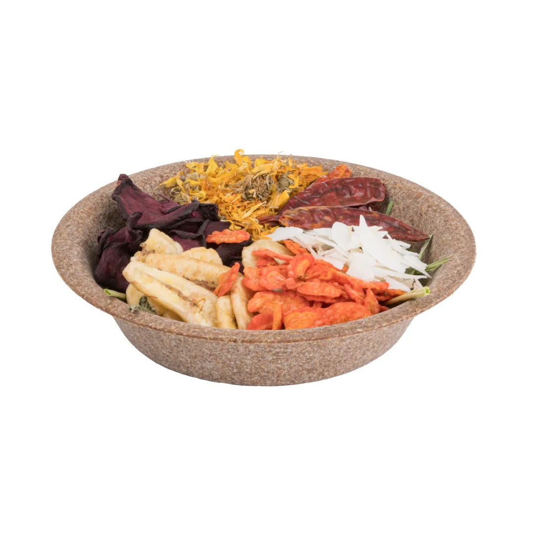 Vita Herbal Edible Lunch Box - COCONUT