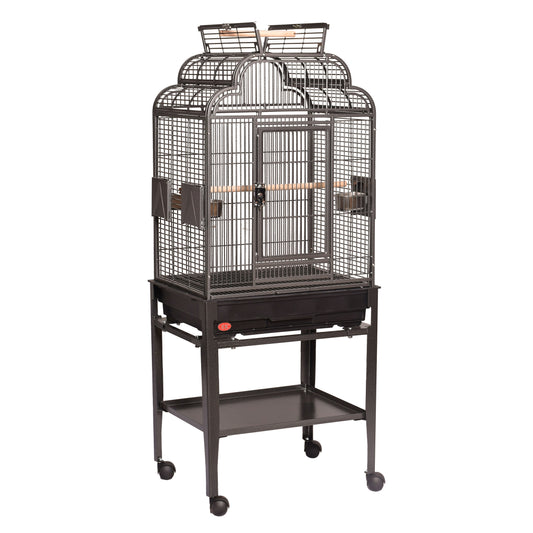 22"x17" Victorian Top Cage with Plastic Base