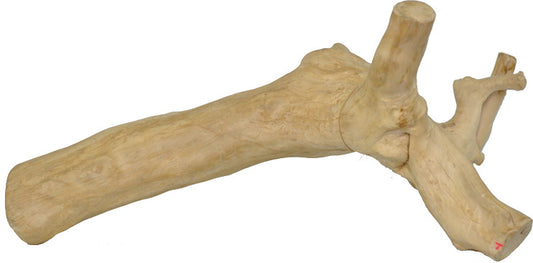 Large Reptile Branch – 9.8-13.8” x 9.8-15.7”