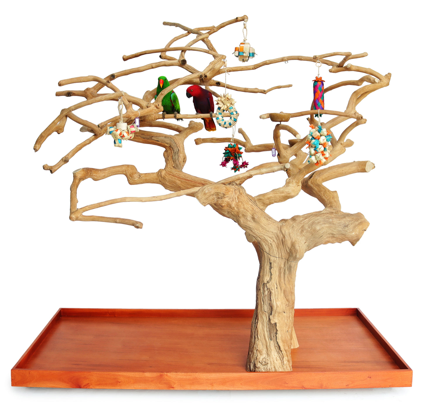 Large Double Java Tree 73” x 36” x 66”