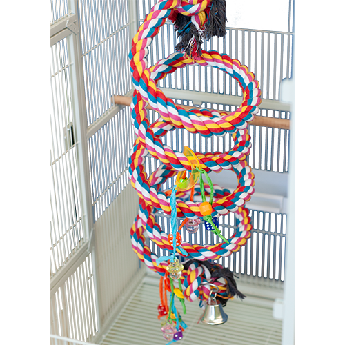 FANCY Extra Large Rainbow Cotton Rope Boing with Bell