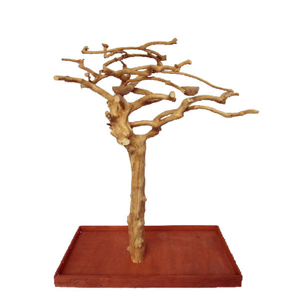 Small Single Java Tree – 48” x 24” x 66”