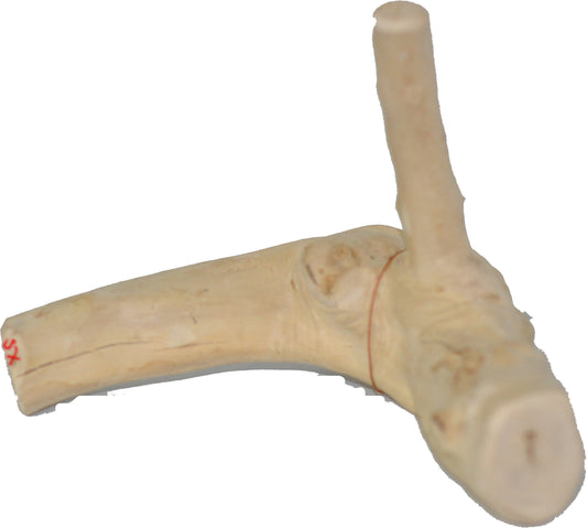 Extra Small Reptile Branch – 5.9-7.9” x 3.9-7.9”