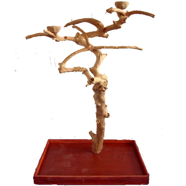 Medium Java Wood Tree Box - 40” x 32” x 61”