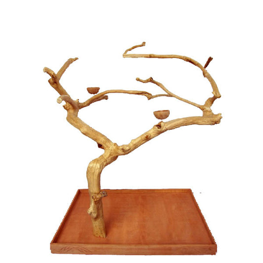 Large Single Java Tree – 48”x 32” x 66”