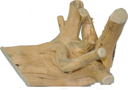 Small Reptile Branch – 5.9-9.8” x 5.9-9.8”