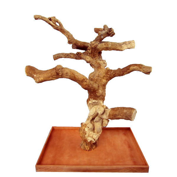 Large Single Java Tree with BIRD CARVINGS – 48”x 32” x 66”