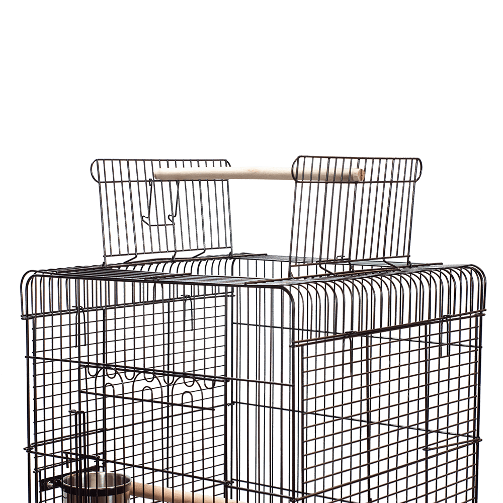 Economy Play Top Cage