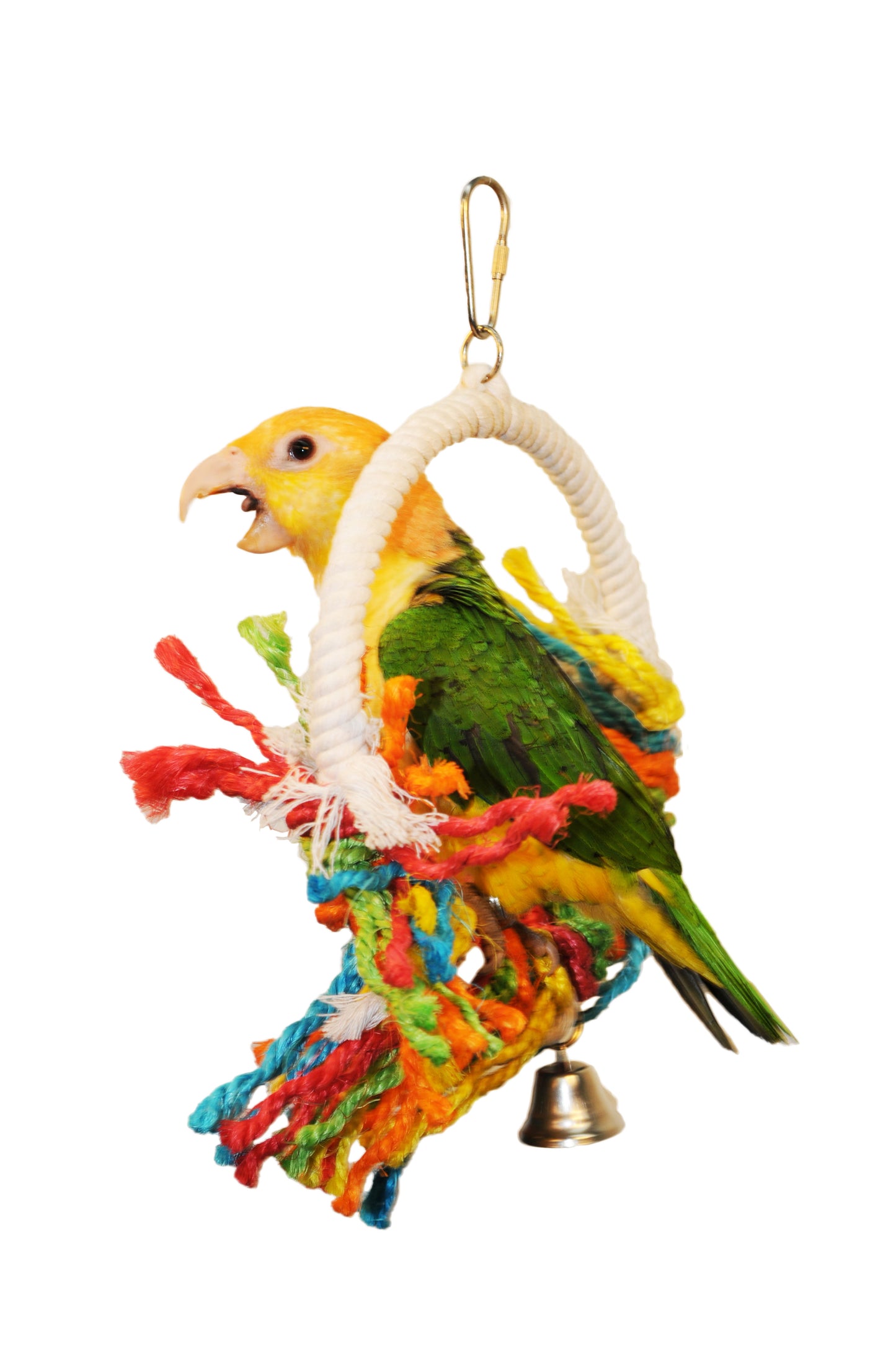 Large Rope Preening Swing