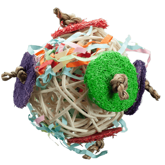 Circle Chaser Toy