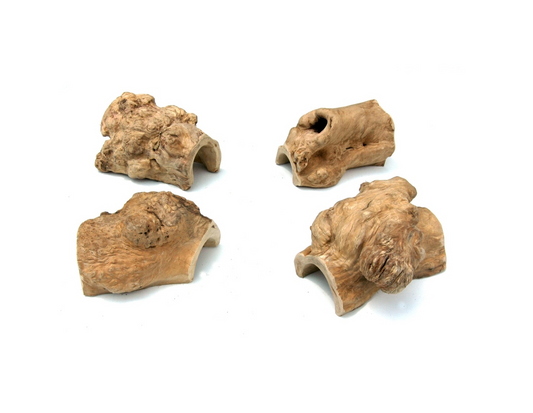 Small Reptile Hideout - 3.5-4.5” x 7.9”