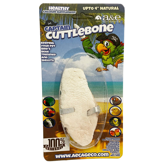 4" NATURAL Cuttlebone - Single Blister Pack (12 pack Inner 644472014686)