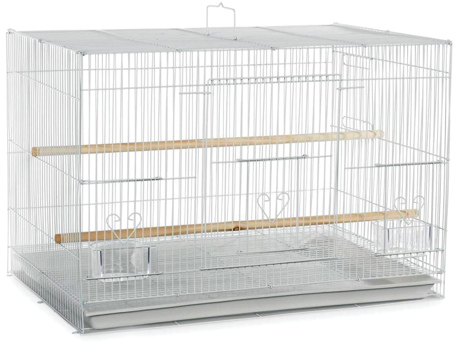30"x18" Flight Cage in Color Retail Box (single pack)