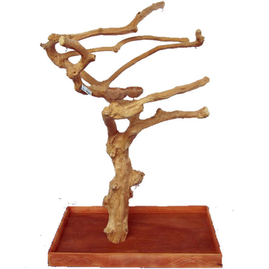 Large Java Wood Tree Box - 40” x 32” x 61”